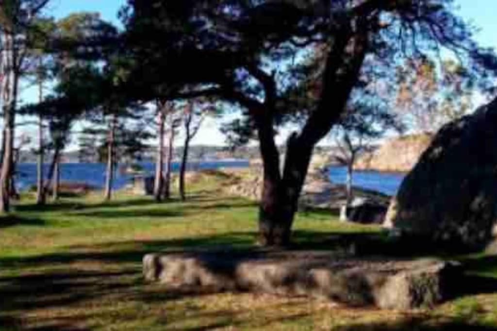 Idyllisk Lite Anneks Med Enestaende Uteplass Λάρβικ Εξωτερικό φωτογραφία